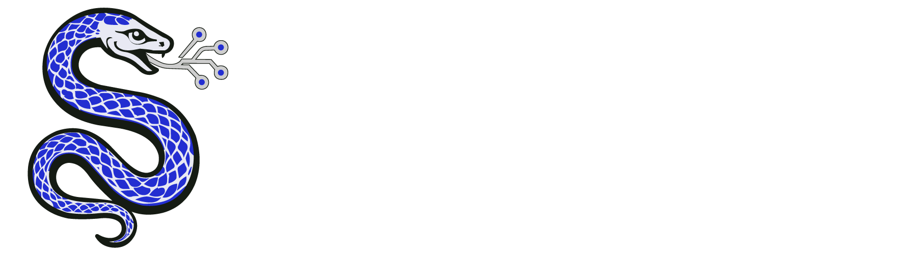 Silver Tongue Development Inc.